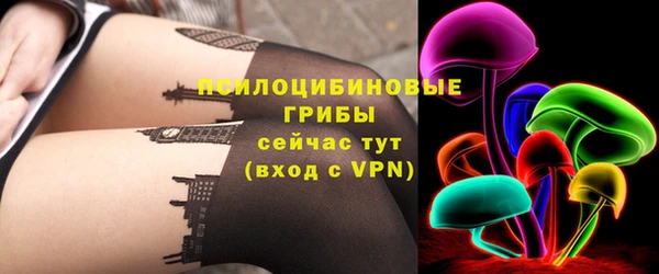 ПСИЛОЦИБИНОВЫЕ ГРИБЫ Абаза