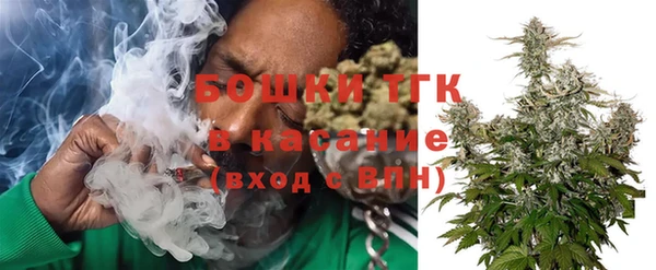 ПСИЛОЦИБИНОВЫЕ ГРИБЫ Абаза