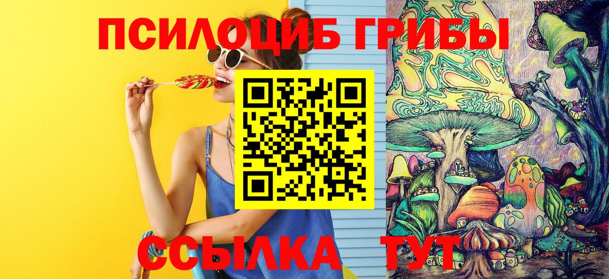 Псилоцибиновые грибы мухоморы Каменск-Уральский